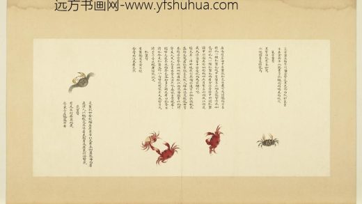 海错图第四册 无款篆背蟹.jpg