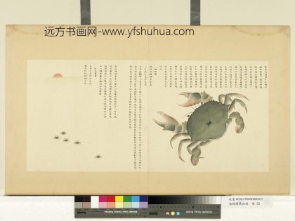 海错图第四册 无款蝤蛑.jpg