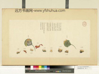 海错图第四册 无款鲎负火.jpg