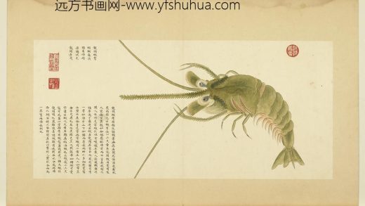 海错图第四册 无款龙头虾.jpg