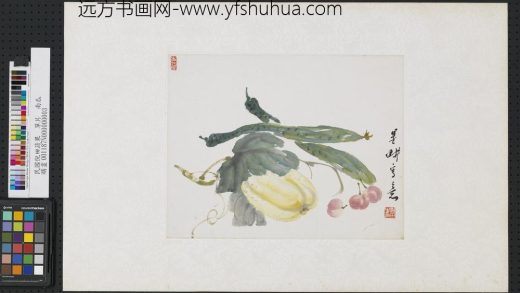 清倪田蔬果单片南瓜.jpg