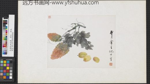 清倪田蔬果单片苦瓜.jpg