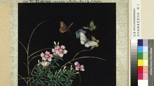 清沈振麟画耄耋同春册 剪秋罗.jpg