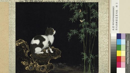 清沈振麟画耄耋同春册 狸奴黄鹂.jpg