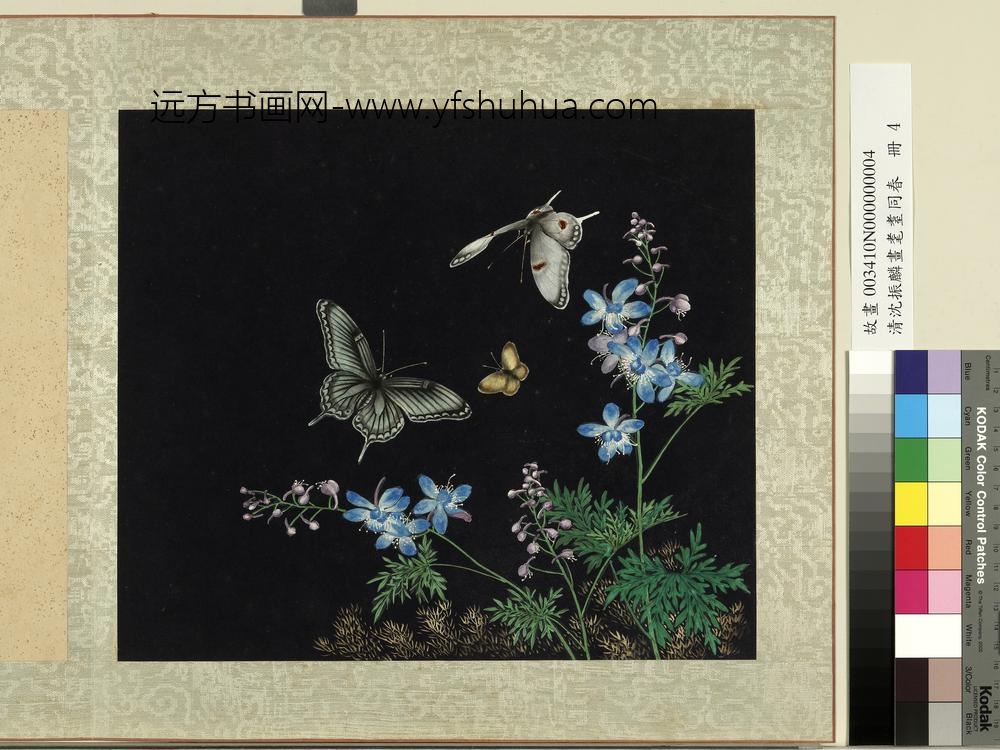 清沈振麟画耄耋同春册_花蝶