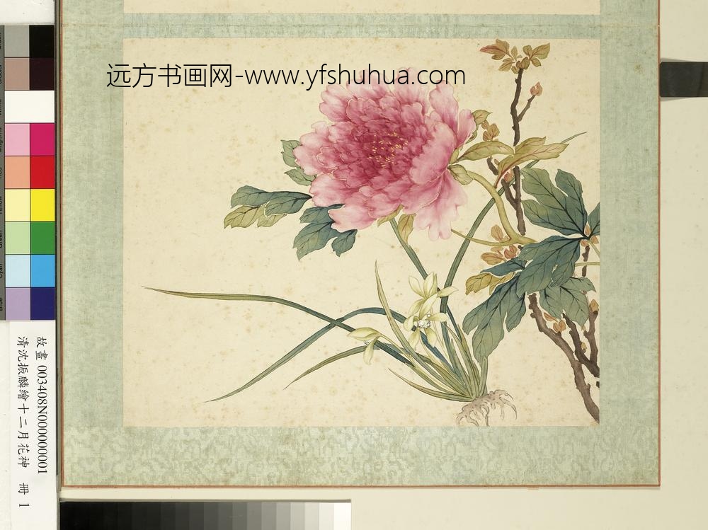 清沈振麟绘十二月花神册_兰花牡丹