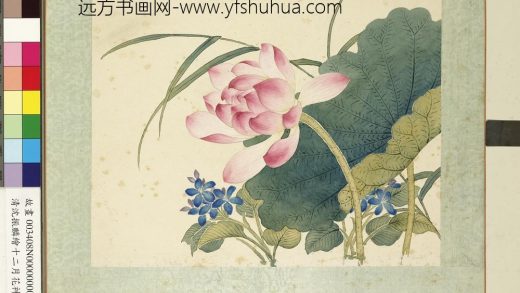 清沈振麟绘十二月花神册 莲花.jpg