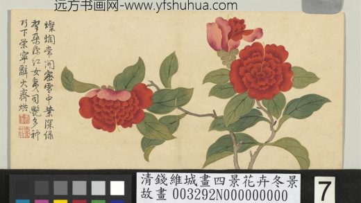 清钱维城画四景花卉冬景册 宝珠茶花.jpg