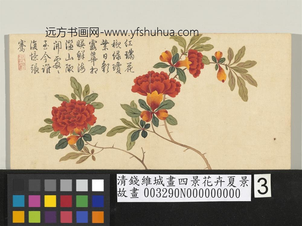 清钱维城画四景花卉夏景册_石榴