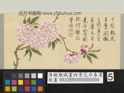 清钱维城画四景花卉春景册 千叶桃.jpg