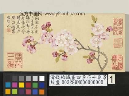清钱维城画四景花卉春景册 杏花.jpg