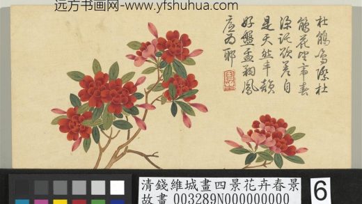 清钱维城画四景花卉春景册 杜鹃.jpg