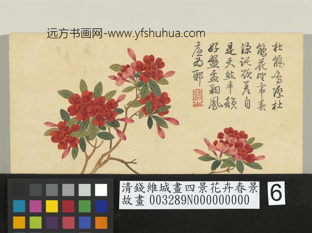 清钱维城画四景花卉春景册_杜鹃