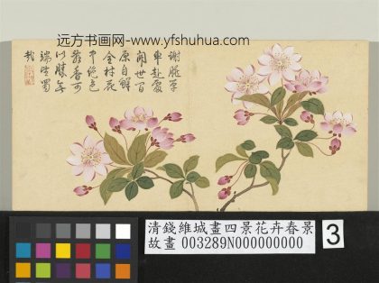 清钱维城画四景花卉春景册 西府海棠.jpg