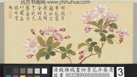 清钱维城画四景花卉春景册 西府海棠.jpg