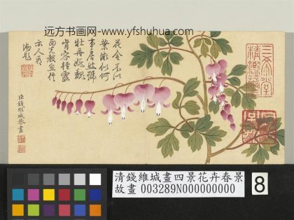清钱维城画四景花卉春景册 鱼儿牡丹.jpg