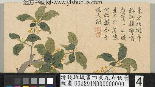 清钱维城画四景花卉秋景册 桂.jpg