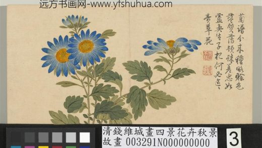 清钱维城画四景花卉秋景册 蓝菊.jpg