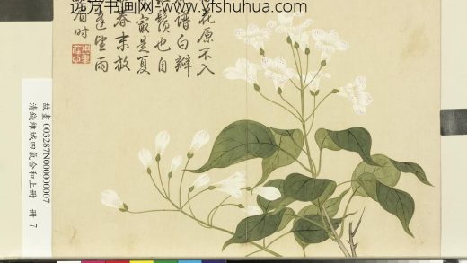 清钱维城画四气含和上册 楸花.jpg