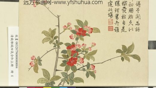 清钱维城画四气含和上册 海棠.jpg