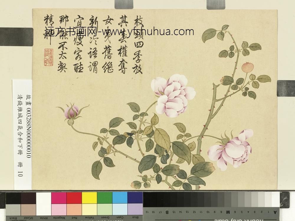 清钱维城画四气含和下册_月季花