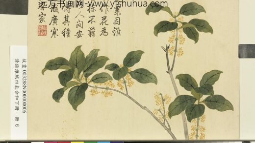 清钱维城画四气含和下册 桂花.jpg