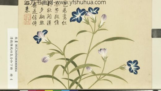 清钱维城画四气含和下册 蓝雀花.jpg