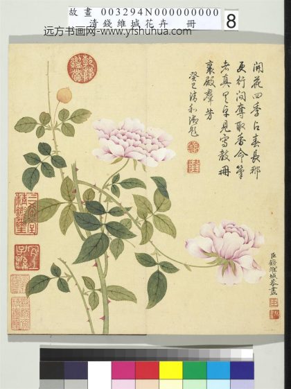 清钱维城画花卉册 月季.jpg