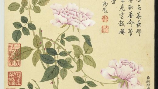 清钱维城画花卉册 月季.jpg