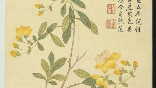 清钱维城画花卉册 桃花.jpg