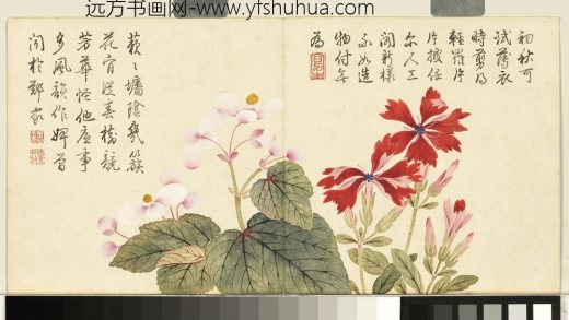 清钱维城画花卉册 海棠秋罗.jpg