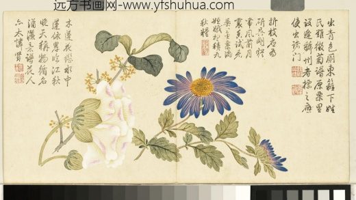清钱维城画花卉册 芙蓉桂花.jpg