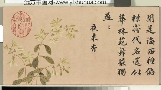 清钱维城绘花卉御题八香图册 夜来香.jpg