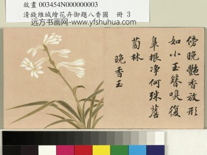 清钱维城绘花卉御题八香图册 晚香玉.jpg