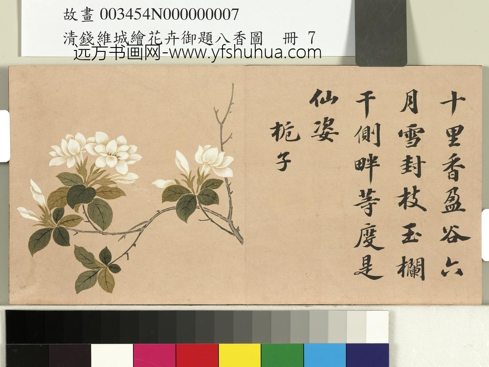 清钱维城绘花卉御题八香图册_栀枝