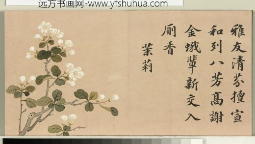清钱维城绘花卉御题八香图册 茉莉.jpg
