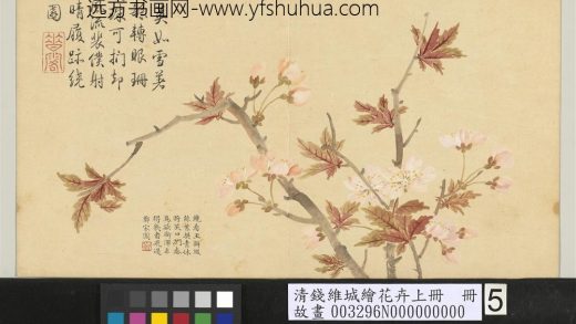 清钱维城绘花卉（上）册 樱桃花.jpg