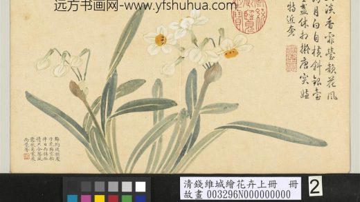 清钱维城绘花卉（上）册 水仙.jpg