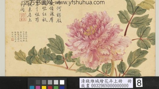 清钱维城绘花卉（上）册 牡丹.jpg