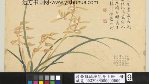 清钱维城绘花卉（上）册 蕙兰.jpg