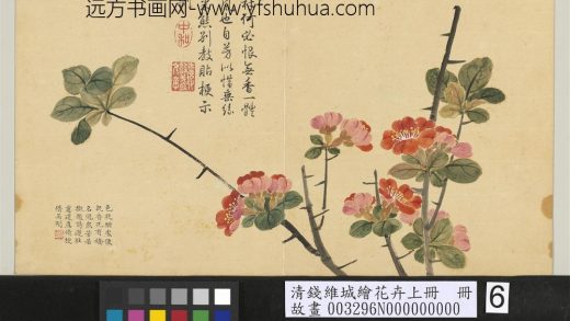 清钱维城绘花卉（上）册 贴梗海棠.jpg