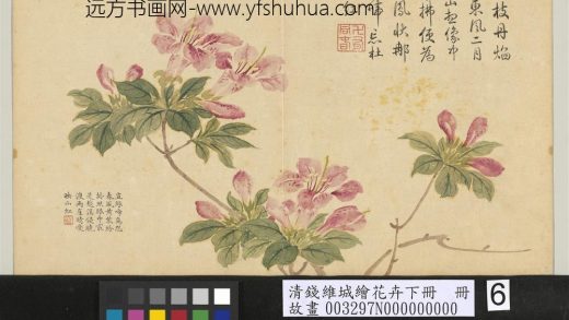 清钱维城绘花卉（下）册 山踯蠋.jpg