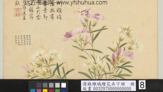清钱维城绘花卉（下）册 石竹.jpg