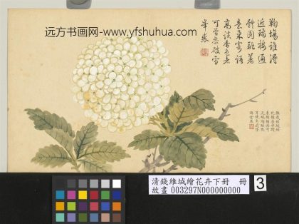 清钱维城绘花卉（下）册 绣球.jpg