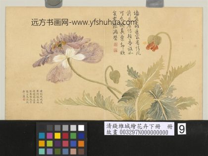 清钱维城绘花卉（下）册 罂粟.jpg