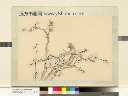 清钱维城花卉册（一）册画梅之六.jpg