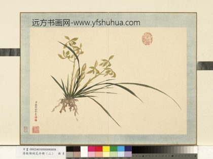 清钱维城花卉册（二）册画兰之八.jpg