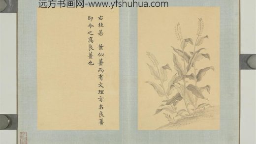 清门应兆补绘萧云从离骚图下册 杜若.jpg