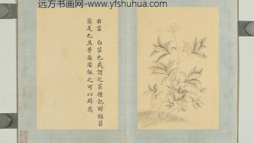 清门应兆补绘萧云从离骚图下册 白芷.jpg