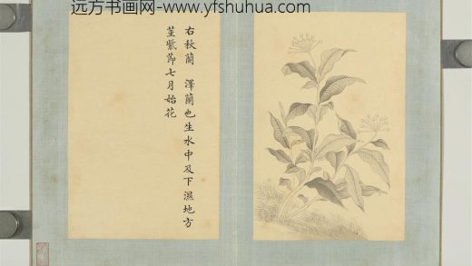 清门应兆补绘萧云从离骚图下册 秋兰.jpg